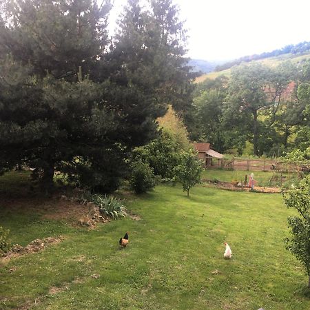 Holiday home Gobertier Saint-Alban-d'Ay Exterior foto